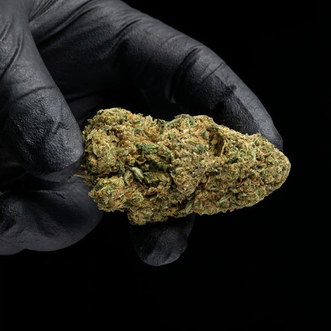 Cannatonic | CBD Hemp Flower | Glasshouse + Light Support | 19% CBD