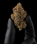 Chardonnay | CBD Hemp Flower | Exquisite Indoor | 13% CBD