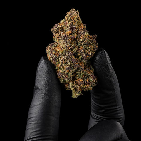 Chardonnay | CBD Hemp Flower | Exquisite Indoor | 13% CBD