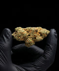 Fruit Sushi | CBD Hemp Flower | Exquisite Indoor | 15% CBD