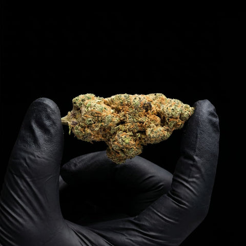 Fruit Sushi | CBD Hemp Flower | Exquisite Indoor | 15% CBD