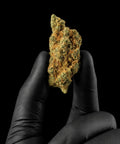 Rochana-GorillaMandarin_CBDHempFlower_ExquisiteIndoor_11_CBD