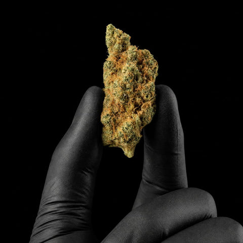 Rochana-GorillaMandarin_CBDHempFlower_ExquisiteIndoor_11_CBD