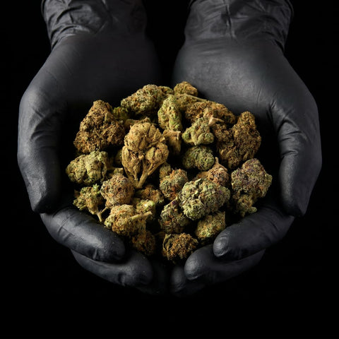 Rochana-MixedHempFlower_EndOfBatch_16_CBD