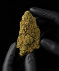Silver Haze | CBD Flower | Glasshouse + Light Support | 17% CBD