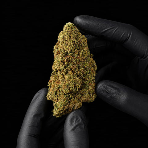 Silver Haze | CBD Flower | Glasshouse + Light Support | 17% CBD