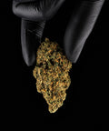 Slurp | CBD Flower | Exquisite Indoor | 17%