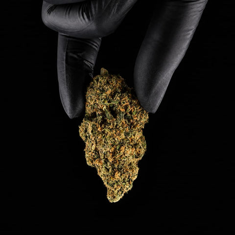 Slurp | CBD Flower | Exquisite Indoor | 17%