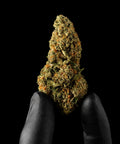 Snowing In The Dam | CBD Flower | Exquisite Indoor | 15%