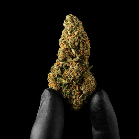 Snowing In The Dam | CBD Flower | Exquisite Indoor | 15%