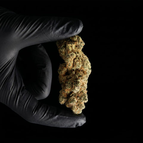 Strawberry Payton | CBD Flower | Exquisite Indoor | 16% CBD
