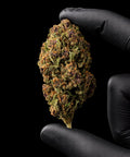Strawberry | CBD Hemp Flower | Glasshouse | 12% CBD