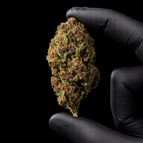 Strawberry | CBD Hemp Flower | Glasshouse | 12% CBD