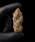 Super Boof | CBD Flower | Exquisite Indoor - USA Cultivated | 18% CBD