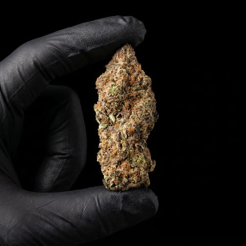 Super Boof | CBD Flower | Exquisite Indoor - USA Cultivated | 18% CBD