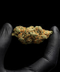 Teriyaki Sauce | CBD Flower | Exquisite Indoor | 16%