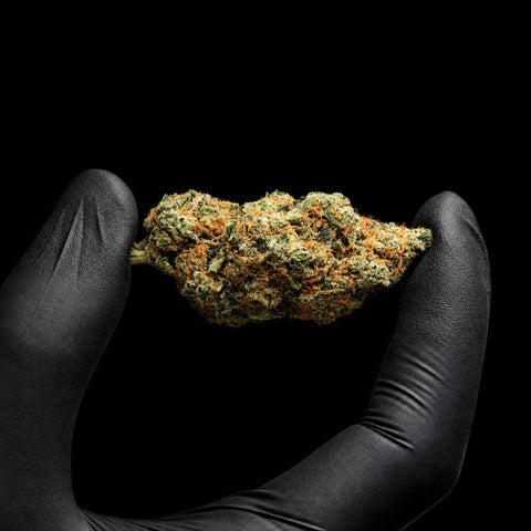 Teriyaki Sauce | CBD Flower | Exquisite Indoor | 16%