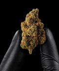 Tropical Dream | CBD Flower | Exquisite Indoor | 13% CBD