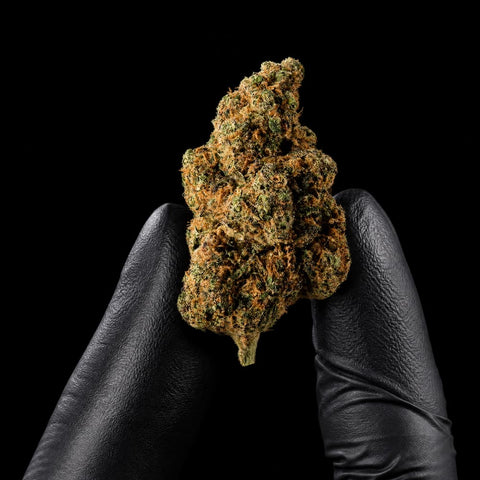 Tropical Dream | CBD Flower | Exquisite Indoor | 13% CBD