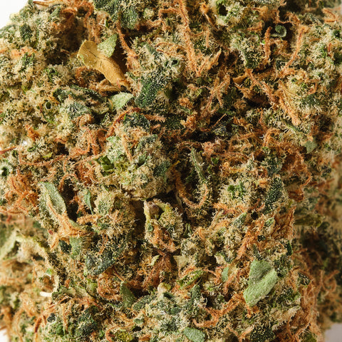 Solero Cream | CBD Flower | Exquisite Indoor | 15%