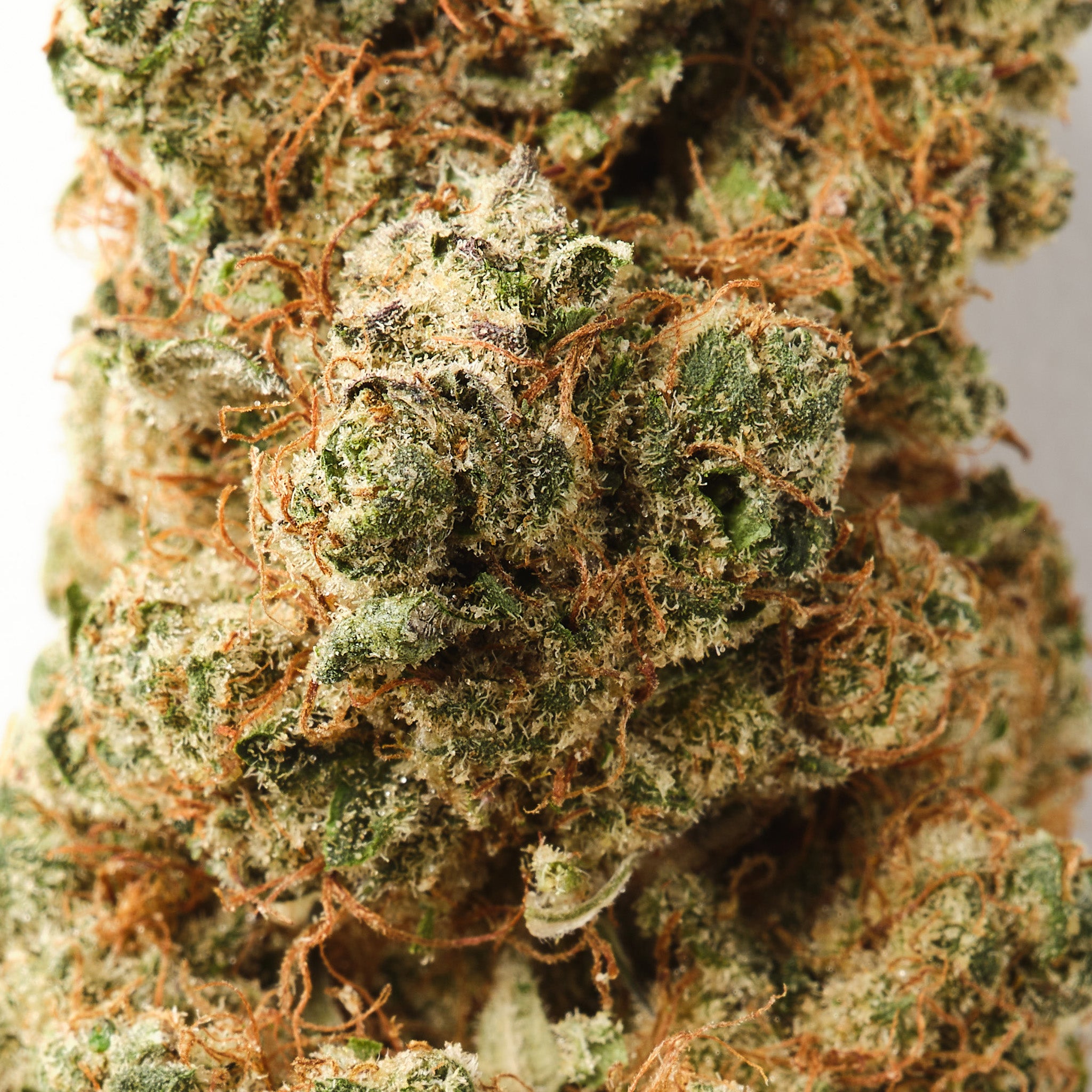 Strawberry Payton | CBD Flower | Exquisite Indoor | 16% CBD