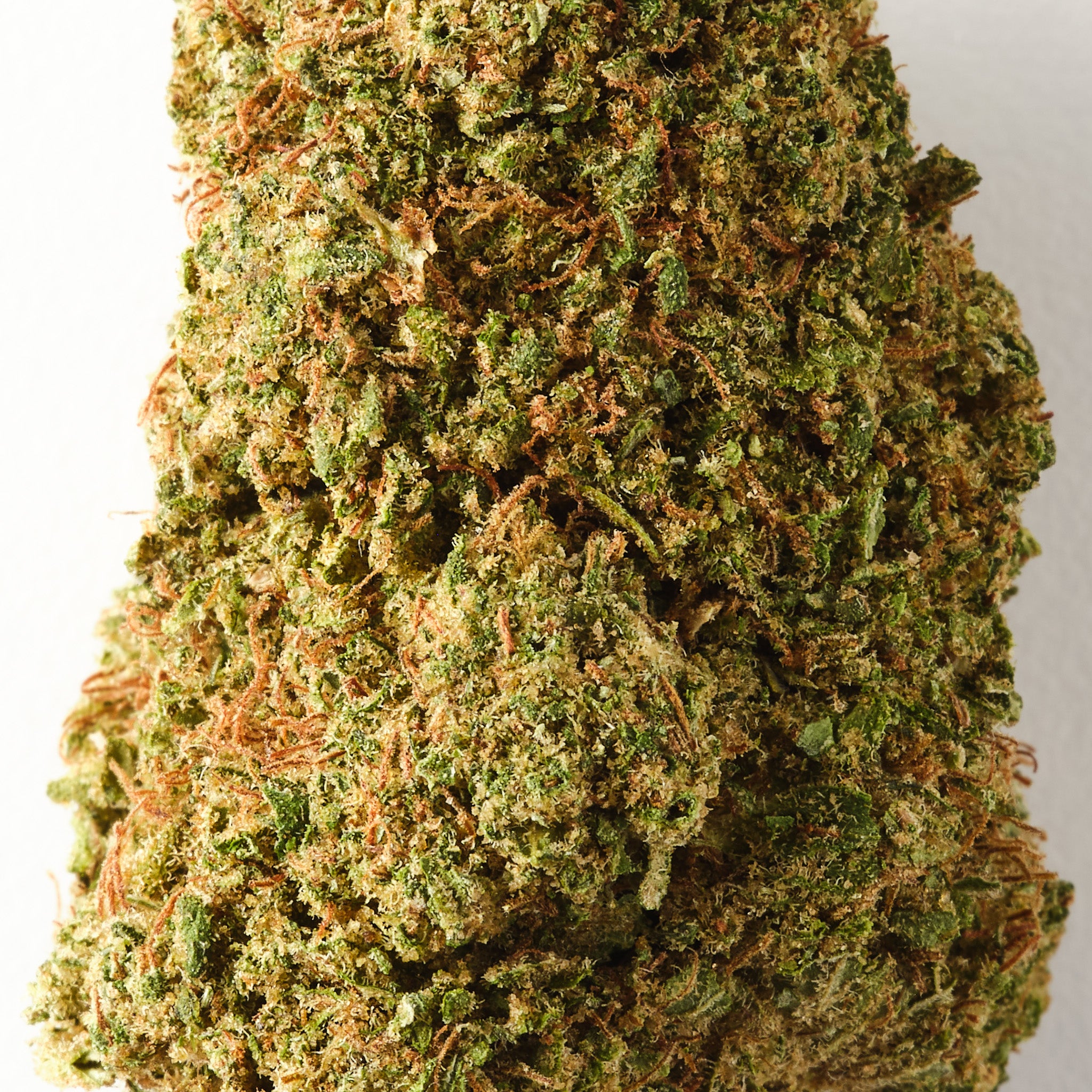 Super Silver Haze | CBD Flower | Glasshouse + Light Support | 15% CBD - HempHash