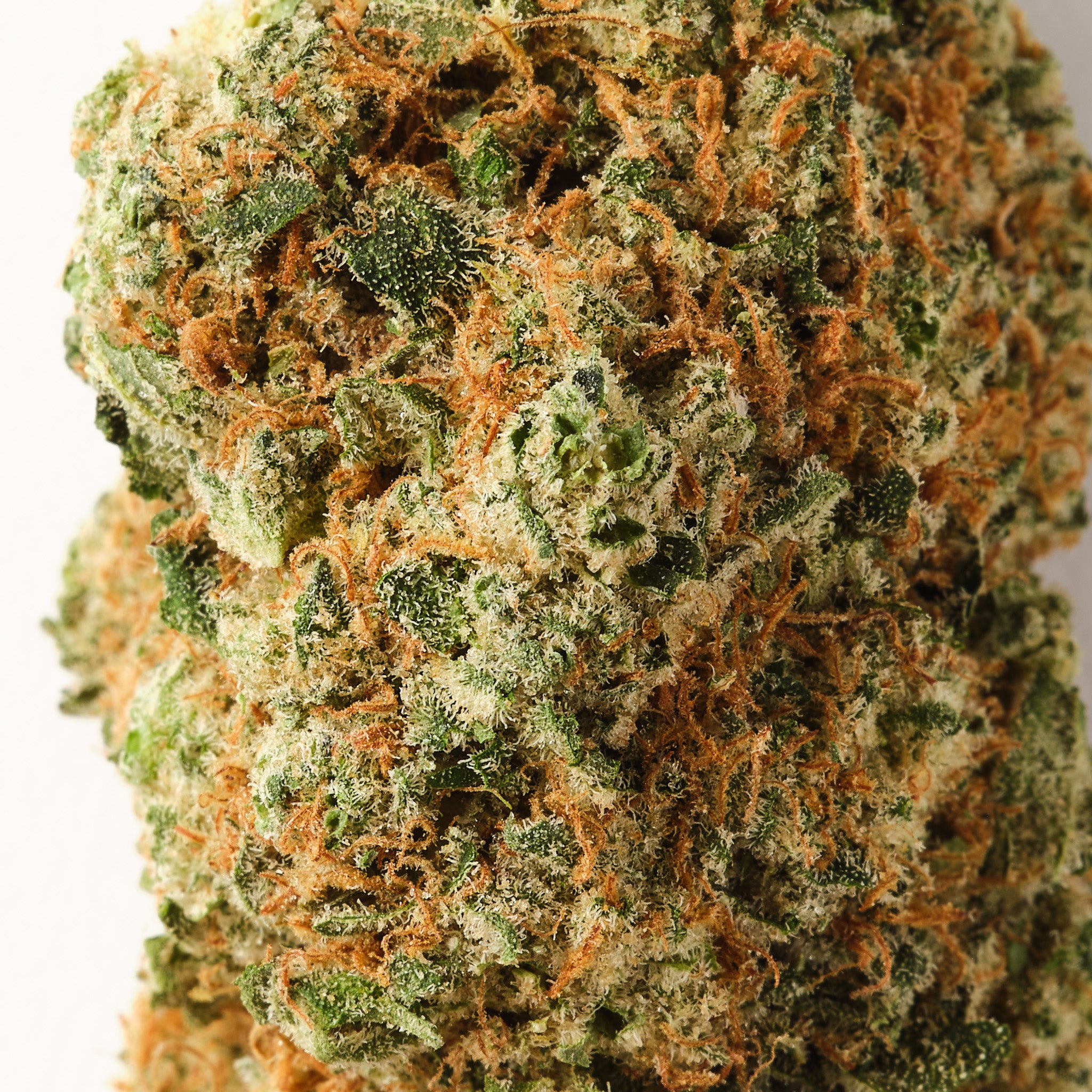 Teriyaki Sauce CBD Flower Hemp Tea – 16% CBD, savoury gas and meaty notes, indoor grown.
