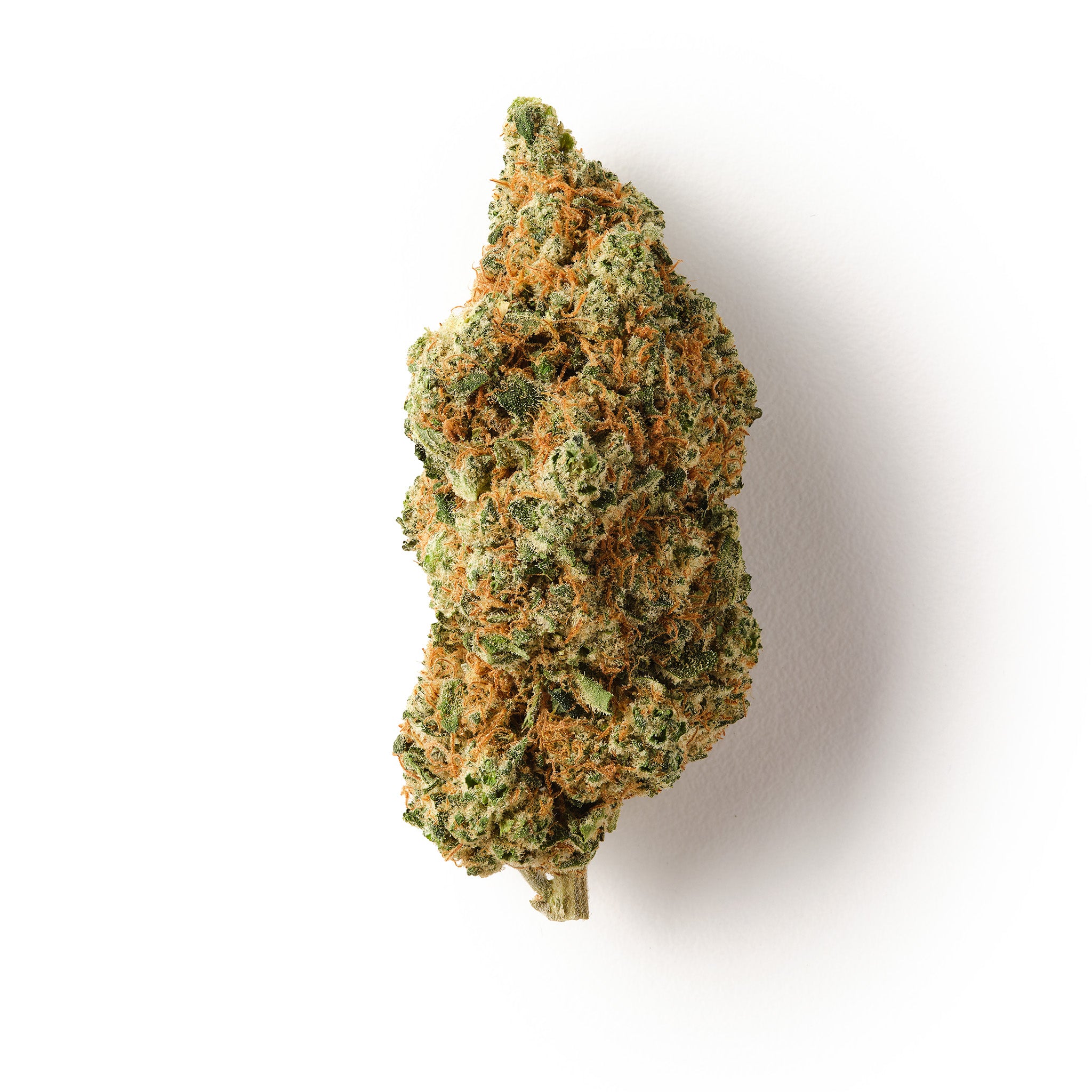 Teriyaki Sauce CBD Flower Hemp Tea – 16% CBD, savoury gas and meaty notes, indoor grown.
