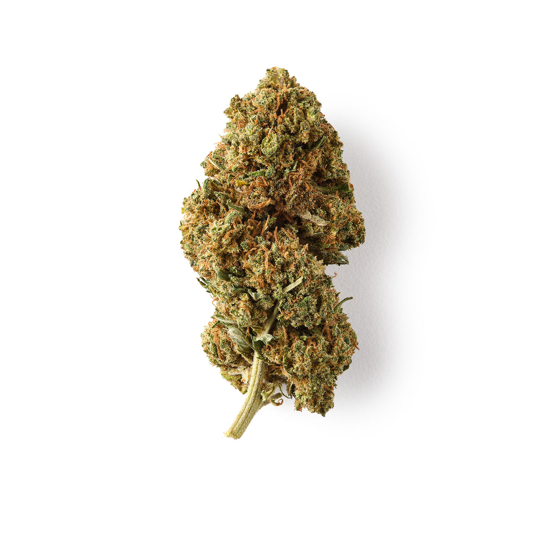 White Rhino | CBD Flower | Easy Weed | Buds | 15% CBD – HempHash