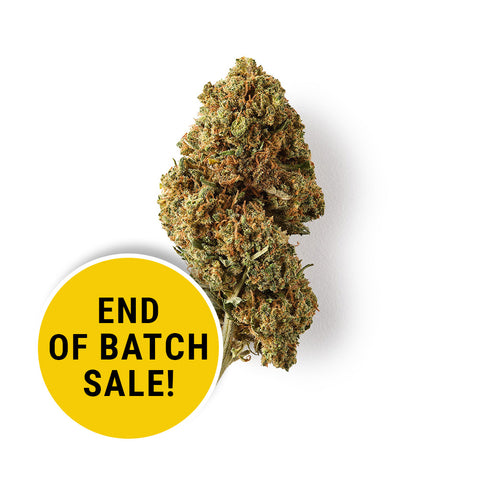 White Rhino | CBD Flower | Easy Weed | Buds | 15% CBD