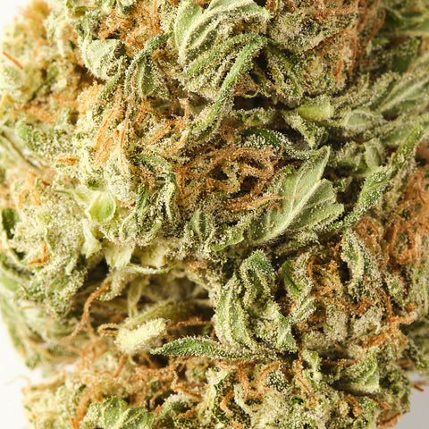 White Whale | CBD Hemp Flower | USA Greenhouse | HempHash | 18% CBD