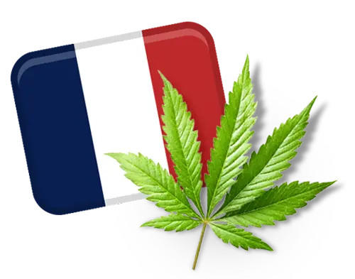 French