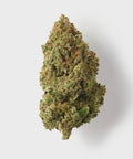 CBD flower video (Orange Martini)