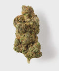 CBD flower the tropical Cobler for the UK