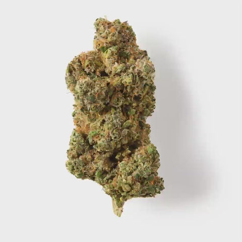 CBD flower the tropical Cobler for the UK