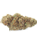 Harlequin 2.0 | CBD Flowers | Easy Weed | Buds - HempHash