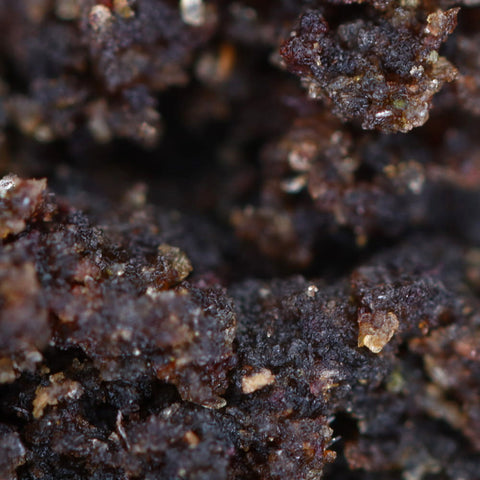 Easy Weed's 46% CBD Filtered Hash, made using organic methods, <0.2% THC, citrus-pine aroma, for education.